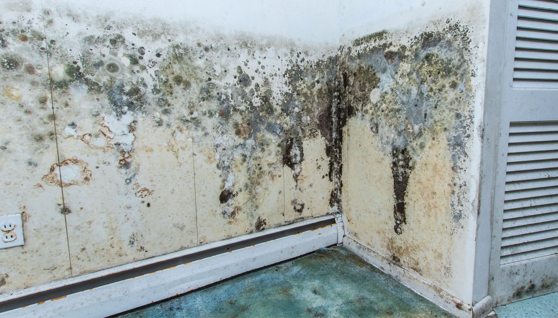 Professional mold removal, odor control, and water damage restoration service in Spokane, Washington.
