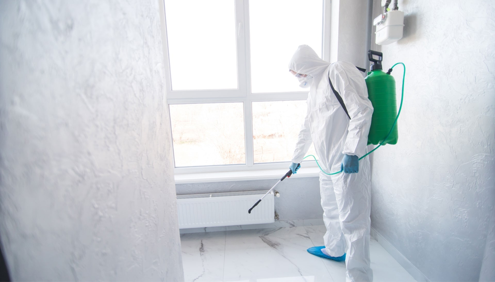 We provide the highest-quality mold inspection, testing, and removal services in the Spokane, Washington area.